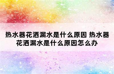 热水器花洒漏水是什么原因 热水器花洒漏水是什么原因怎么办